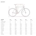 Basic Urban Fixed Gear / Singlespeed Bicycle - Image 7