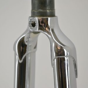 Cicli Berlinetta Custom Fork