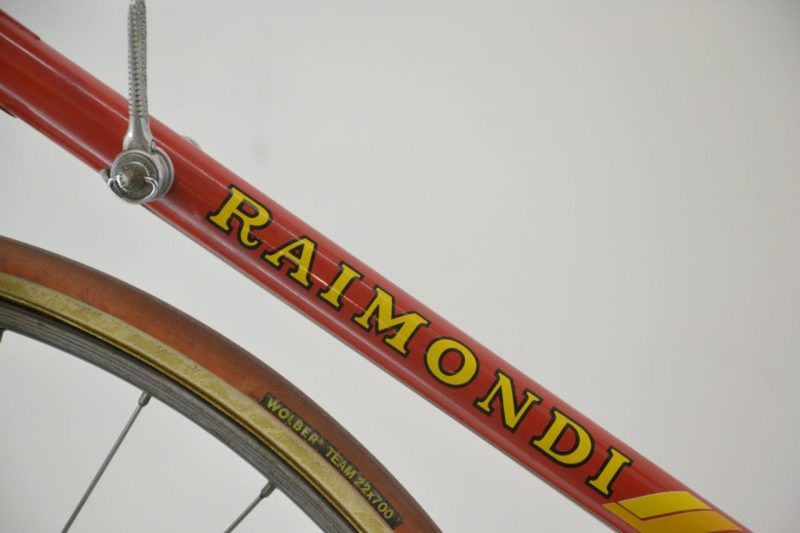 Vintage Raimondi Road Bike