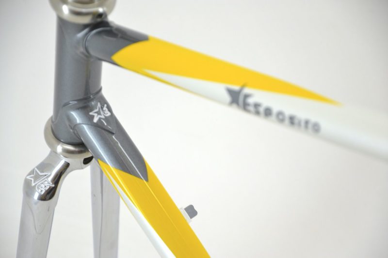 Vintage Custom Frame Team Renault-Elf Esposito Time Trial
