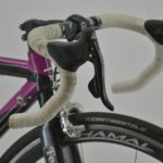 Vintage Pinarello Prince Team Telekom Road Bike