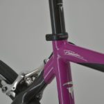 Vintage Pinarello Prince Team Telekom Road Bike