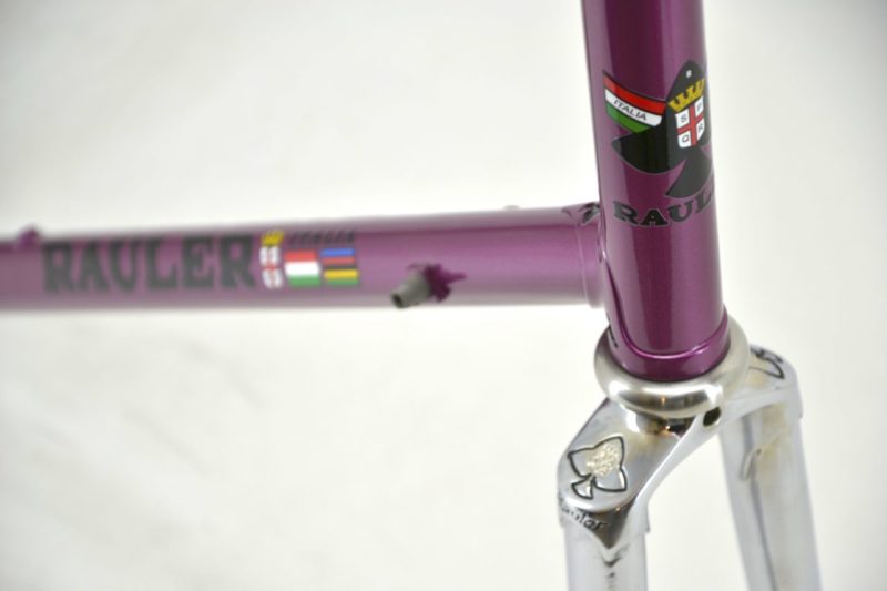 Vintage Rauler Profil Sistem Frameset