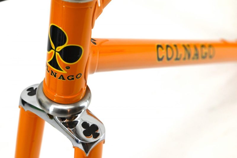 Vintage 1978 Colnago Super Molteni 50.5cm Frameset