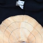 Vintage G.S. Felsina Classic Wool Cycling Shorts