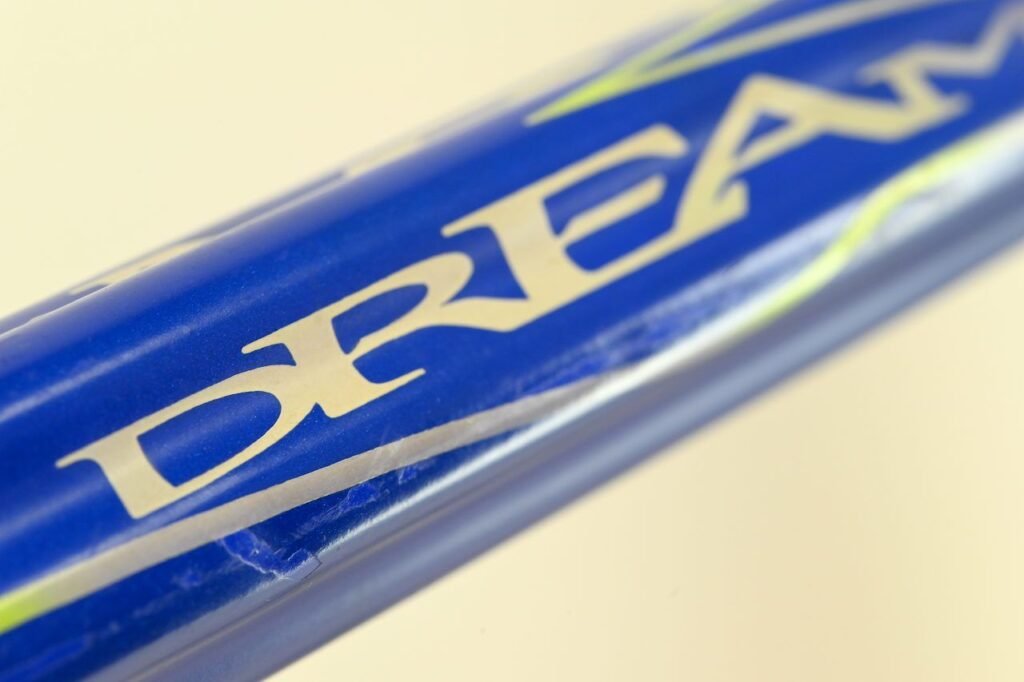 Colnago Dream Campagnolo Record