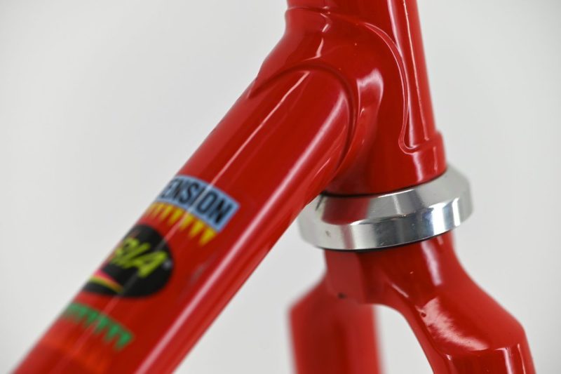 Girotto Track Frame Pista
