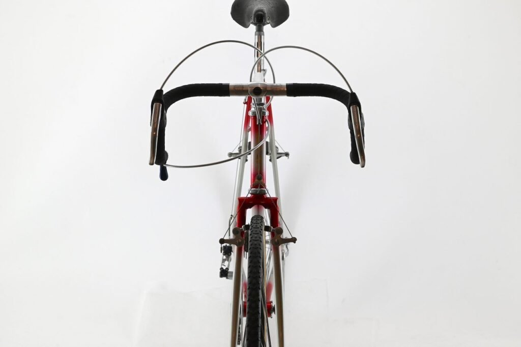 Stelbel Cyclocross Bicycle