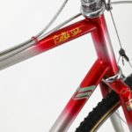 Stelbel Cyclocross Bicycle