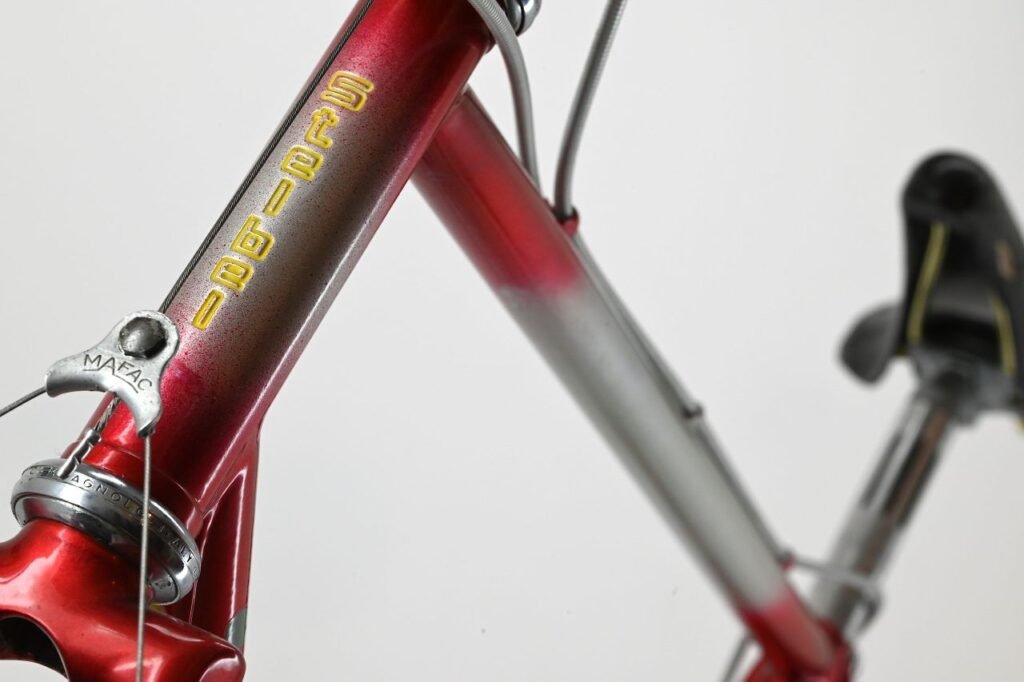 Stelbel Cyclocross Bicycle