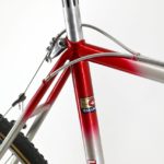 Stelbel Cyclocross Bicycle