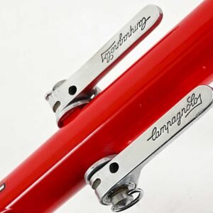 Campagnolo Victory Triomphe Downtube Shifters