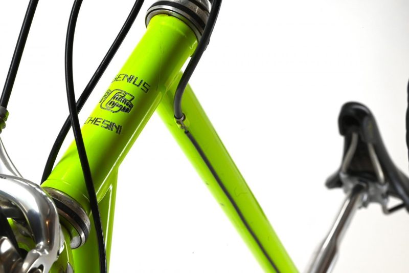 Chesini Genius Bicycle