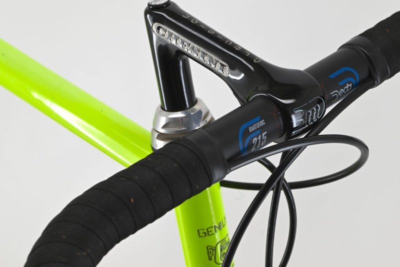 Chesini Genius Bicycle