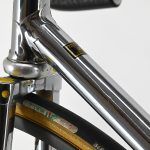 Paletti Prestige Track Bike