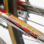 Paletti Prestige Track Bike