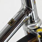Paletti Prestige Track Bike