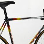 Paletti Prestige Track Bike