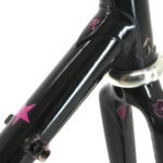 Rossin Frameset Columbus SLX - Image 3