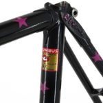 Rossin Frameset Columbus SLX - Image 6
