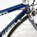 Fausto Coppi Pro Team MG-Technogym Casagranda 54cm Campagnolo 10spd - Image 2