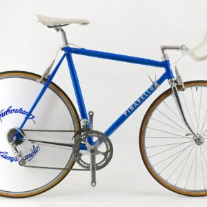 Pinarello Custom Pegoretti Time Trial Campagnolo C-Record 26"/28" Size 53