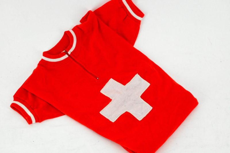 Swiss national champion jersey by Lamargue Euromotte - Image 3