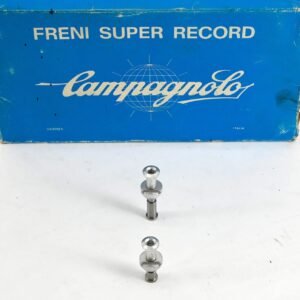 NOS F.T. Bologna Titanium Lightweight Brake Bolts for Classic Campagnolo Brakes Allen Key Bolt